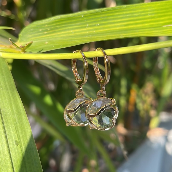 Jewelry - Cute earrings | NWT